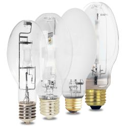 Hid Light bulbs