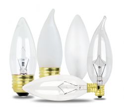 Chandelier & Ceiling Fan Light Bulbs