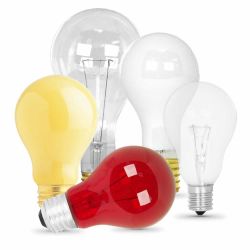 Household Light Bulbs